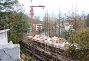 重庆梁平爆料最新消息,揭秘事件背后真相 第1张 重庆梁平爆料最新消息,揭秘事件背后真相 第1张